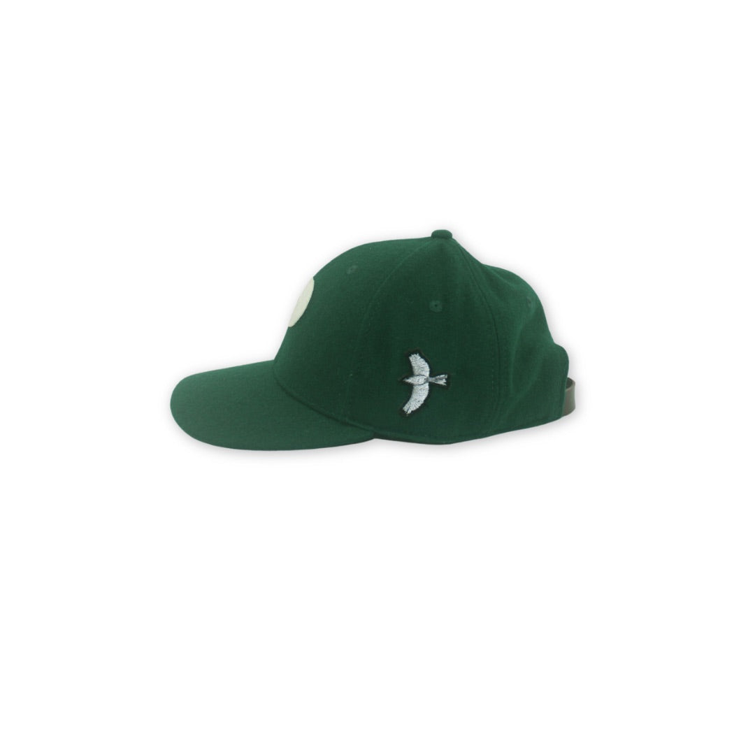 Legado del Pitirre (verde monte)