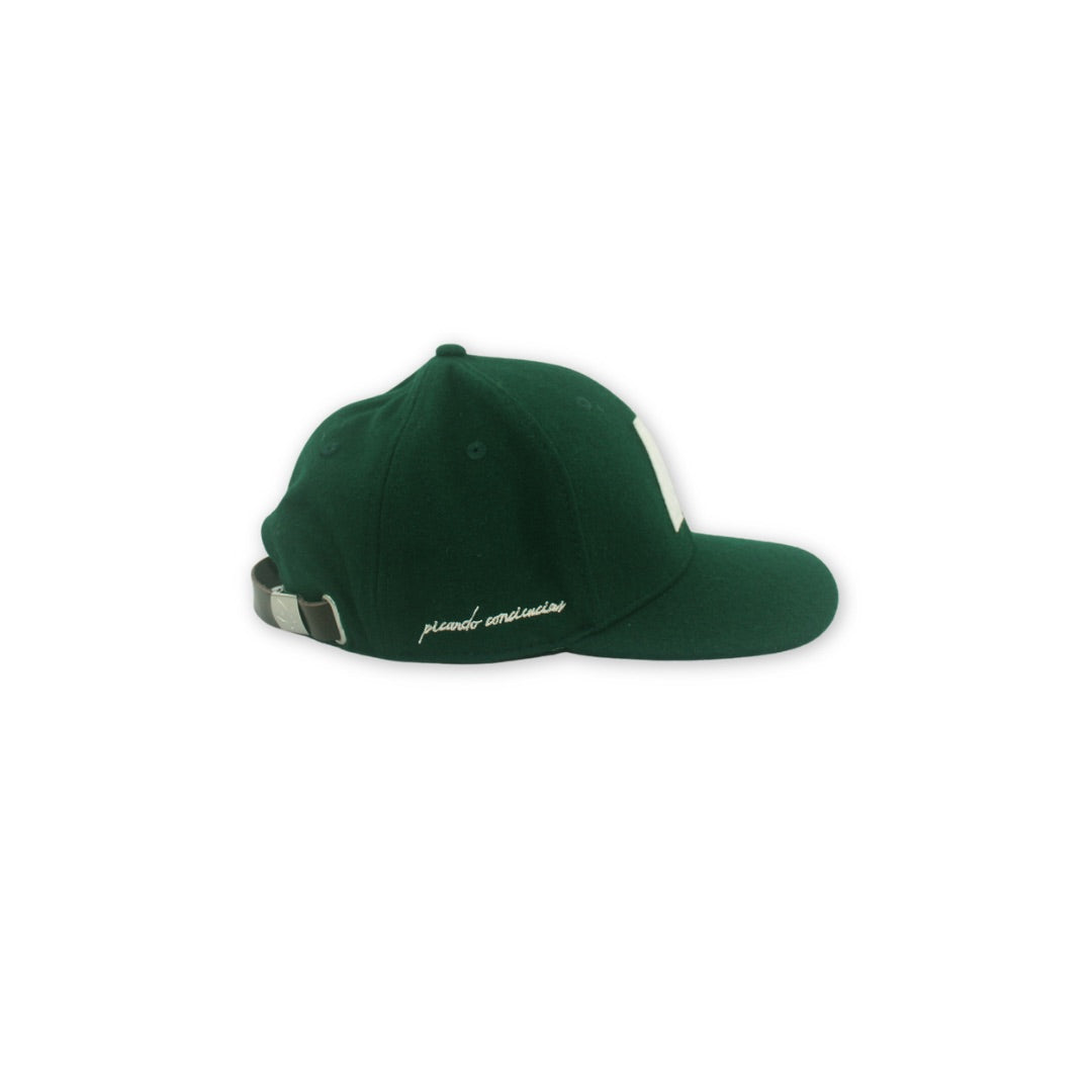 Legado del Pitirre (verde monte)
