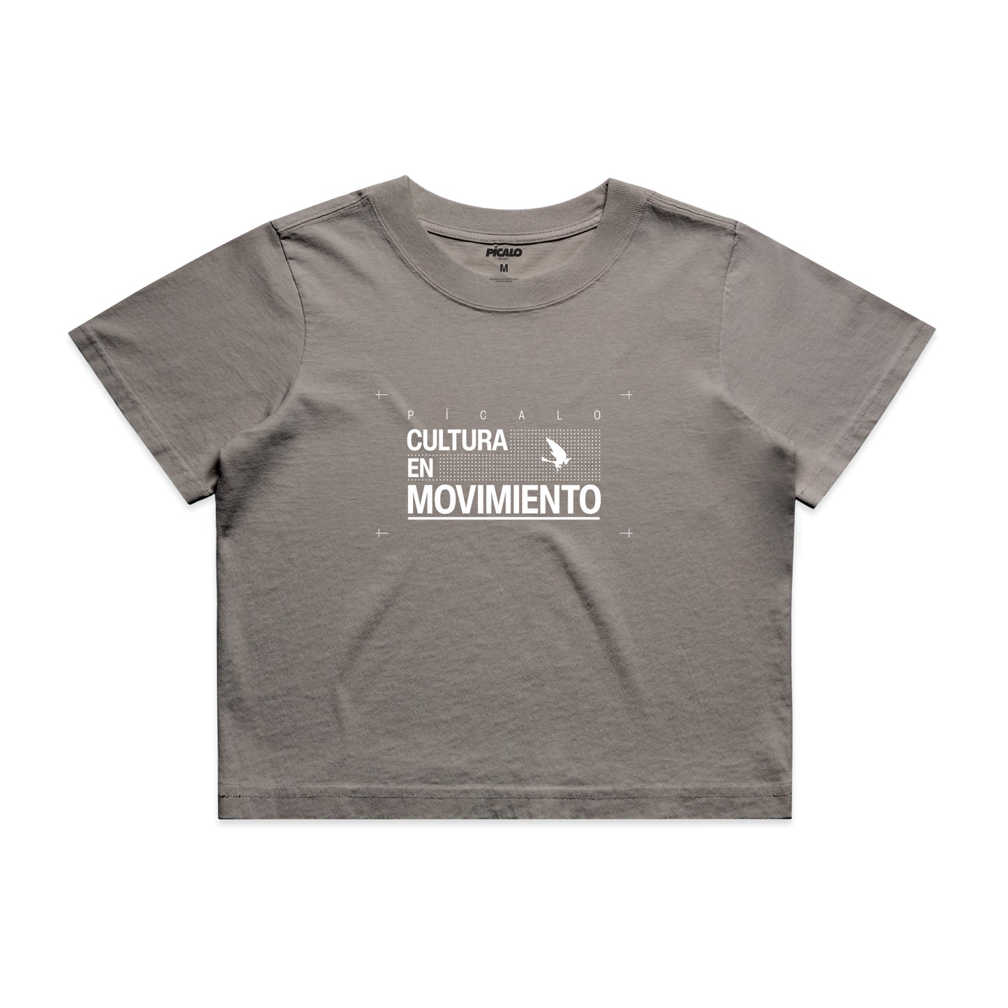 Cultura en Movimiento crop (gris)