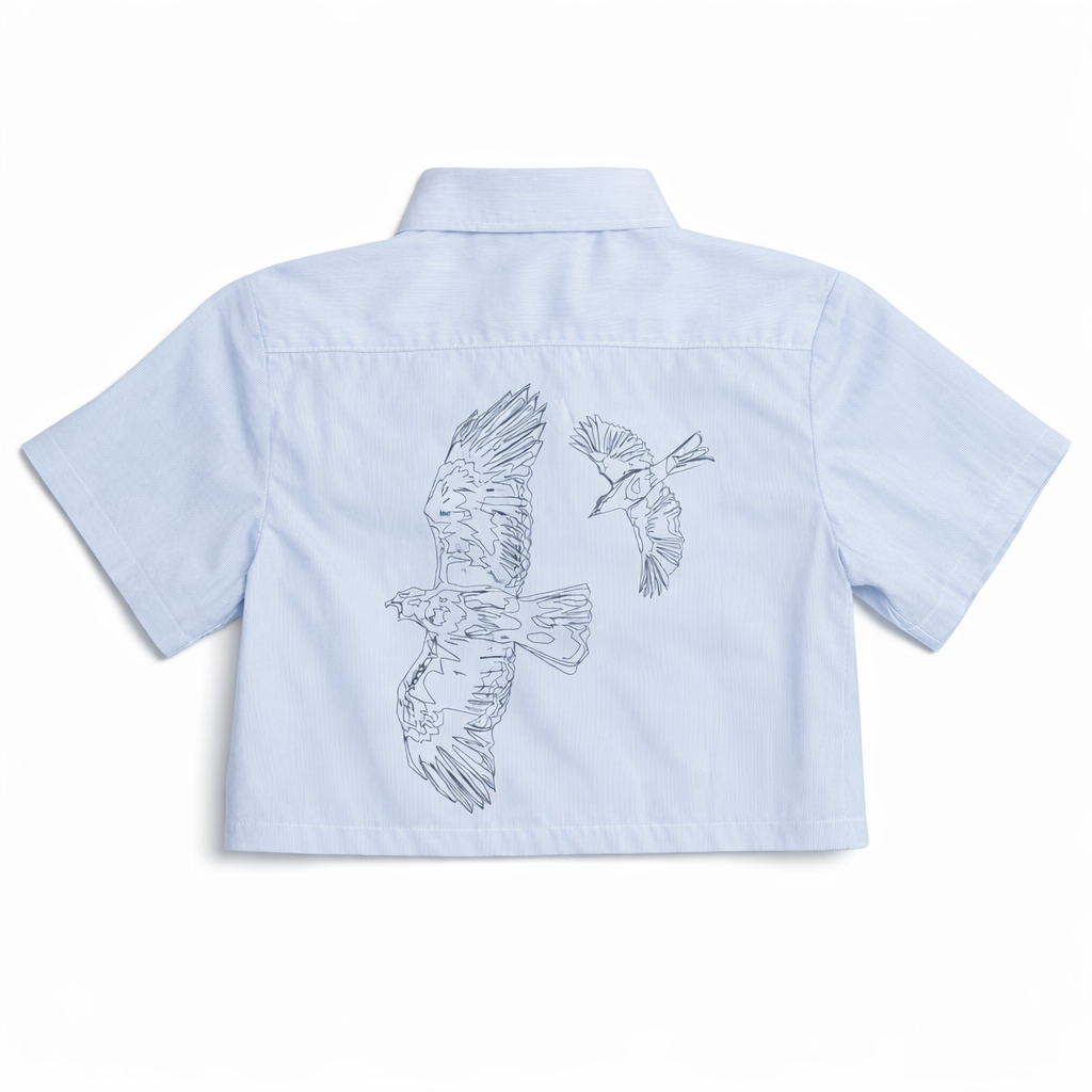 Camisa A cada Guaraguao crop top