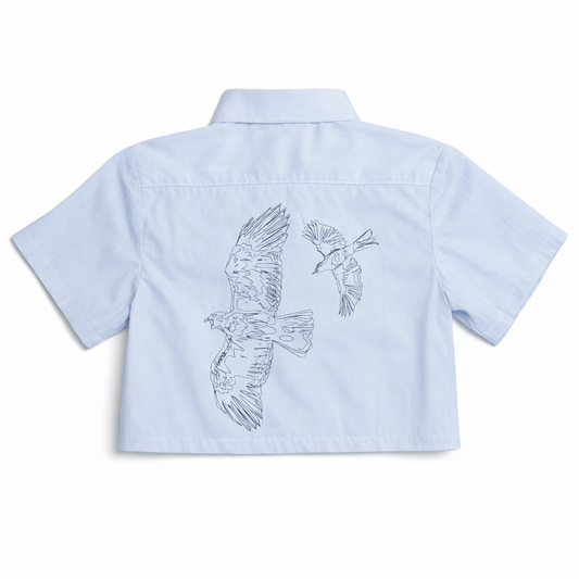 Camisa A cada Guaraguao crop top